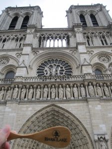 The Paddle at Notre Dame
